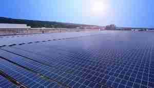 中美硅晶与壹号平台光电携手战略合作