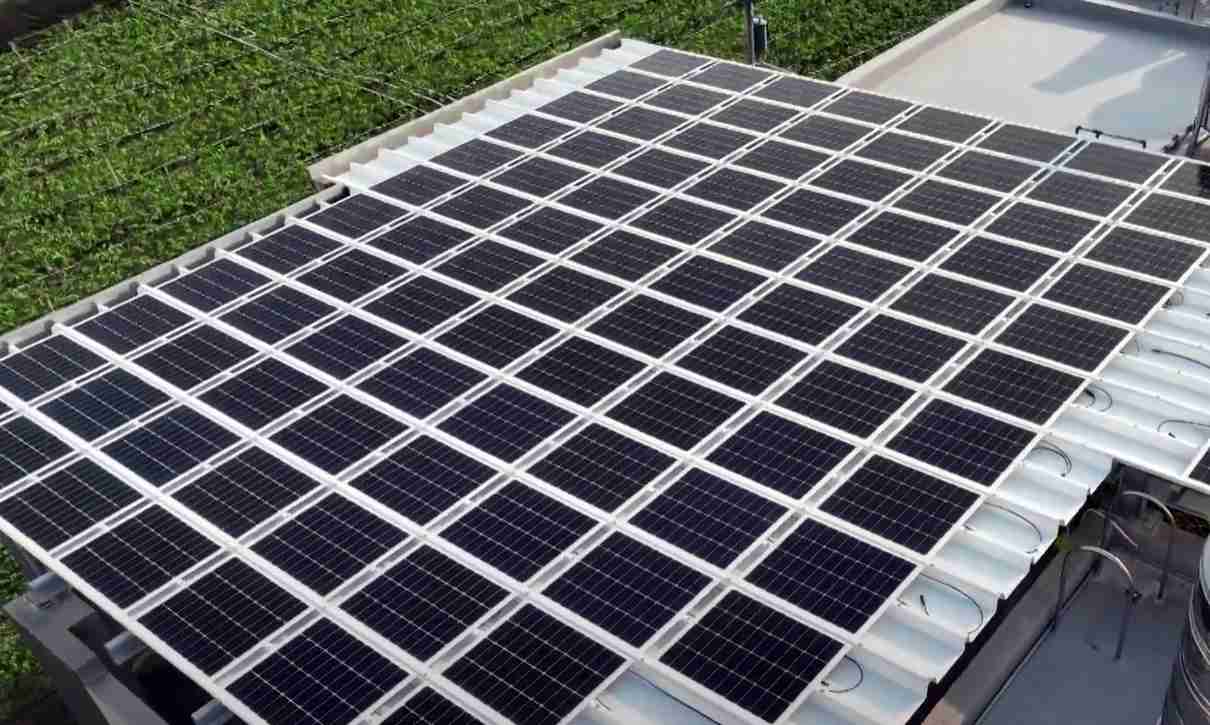 壹号平台SunSteel光电浪板升级双玻结构，，，以提升机械负载强度及气候耐候度，，，，可广泛运用于多元场域