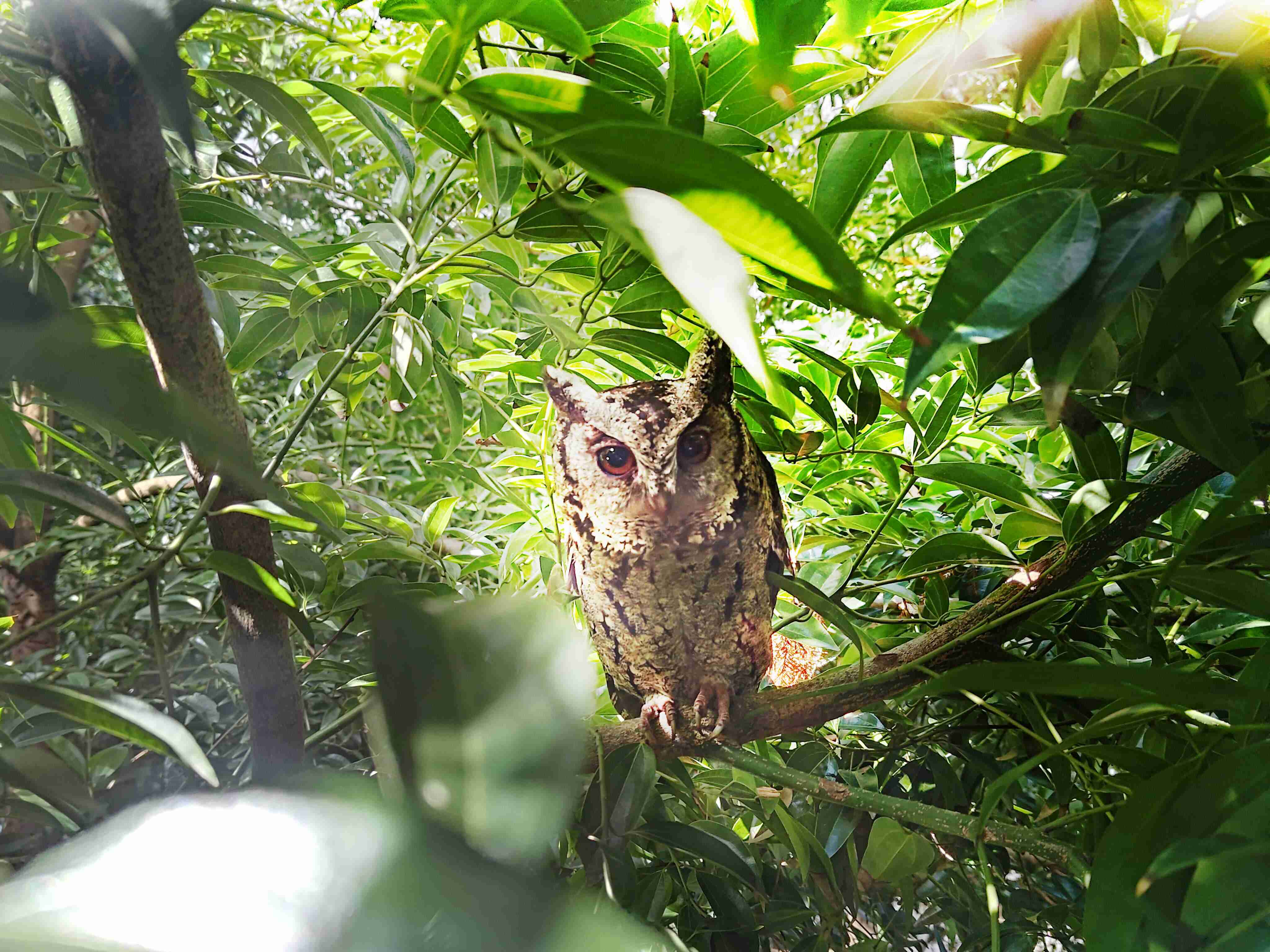 壹号平台致力提倡净零绿生活，，，16年以来在全球各厂区植树逾百万棵，，，，造就各厂区树木蔚然成林，，，犹如森林工厂，，成为许多生物的栖息地